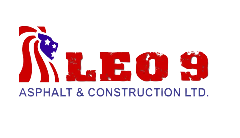 Leo Stan Ekeh Foundation Logo